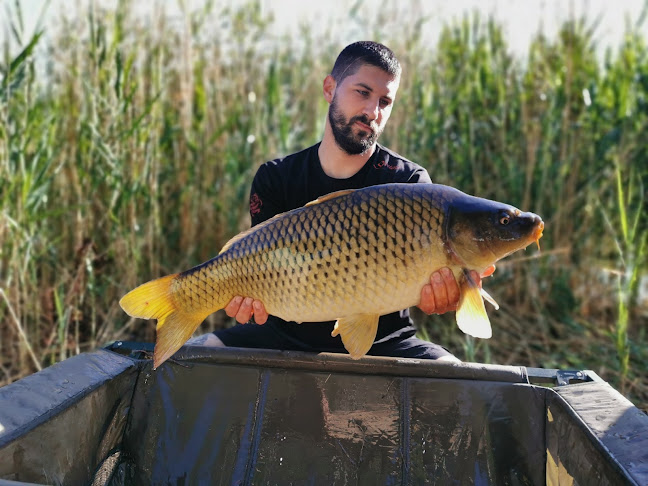 Black Carp Lake - Pápa