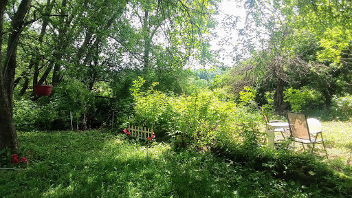 ShineOn Valley. - Thumbnail