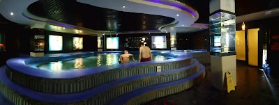 Photos of Octopuss Men's Health And Executive Spa