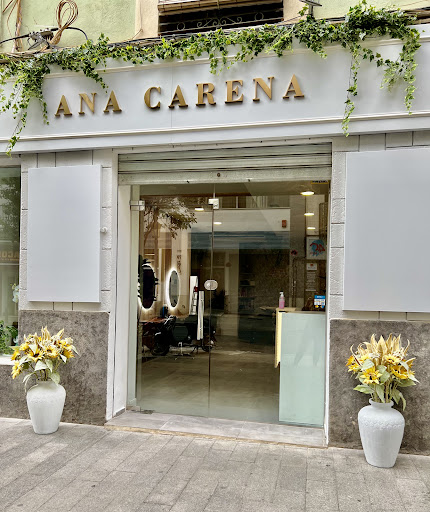 Ana Carena - Thumbnail