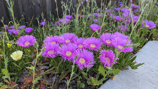 Garden of Preschool Gallery - United States