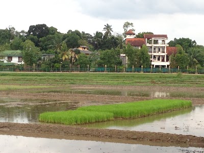 Photos of Kimbulawala Walk Way