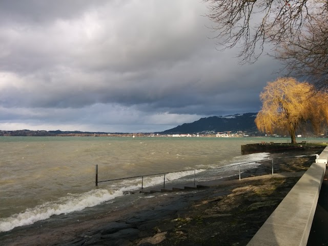 Bregenz