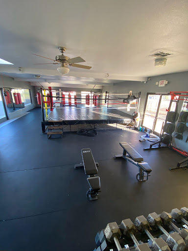 Speed knocks boxing - Visual