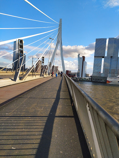 The Rotterdam - Thumbnail