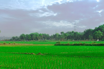 Photos of Jatrapur Jame Masjid