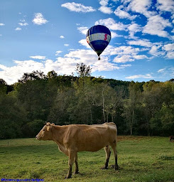Photo n°5 de Ferme Équestre l’Artigou à Orignac (Centre équestre)