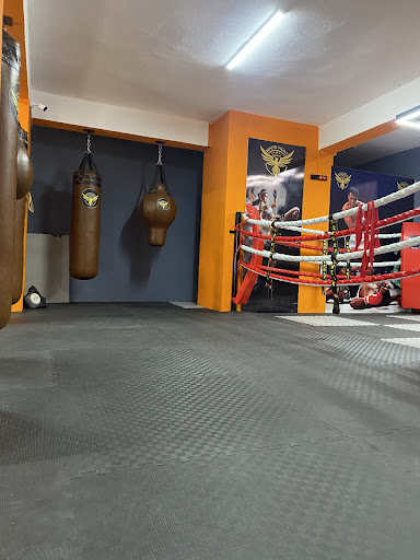 Mert Yarkın Boxing and Kickboxing Coach