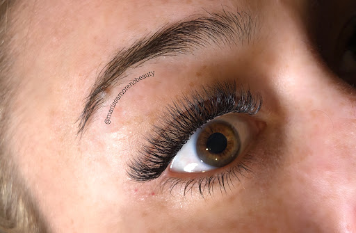 Lash Lab Texas - Visual