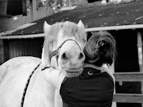 Ostéopathe animalier - Mathilde Godard à Saint-Hilaire-des-Loges