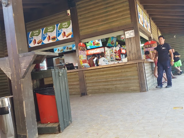 Kfar Blum Kayaks