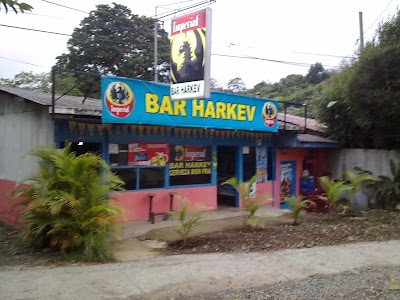Photos of Bar Harkev