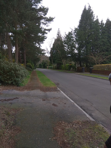 Chilworth Ring - Visual