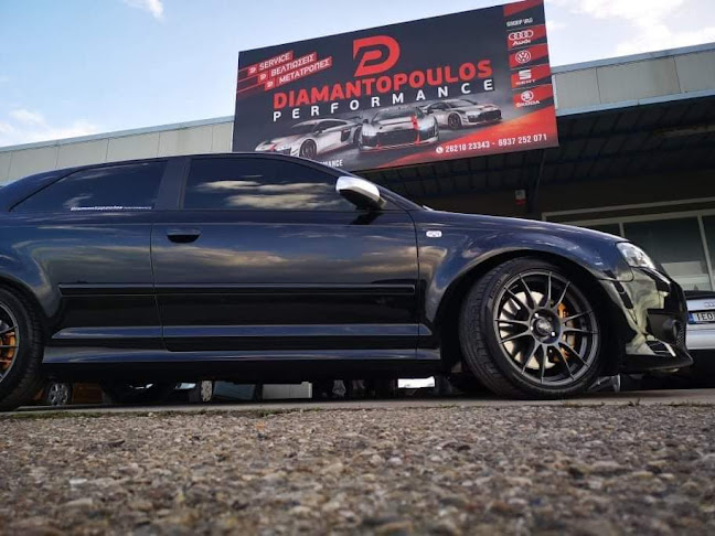 Diamantopoulos Performance