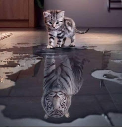 Photo n°2 de Maître Reiki (Enseignant Usui, karuna®️, LaHoChi et Kundalini Patrice Praira E.I. à Fagnières (Thérapeute Reiki)