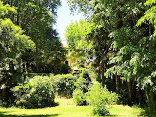 Photo n°2 de Stéphanie Mouliet à Saint-André-de-Sangonis (Praticien de médecine alternative)