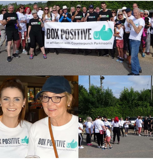 Box Positive - Visual