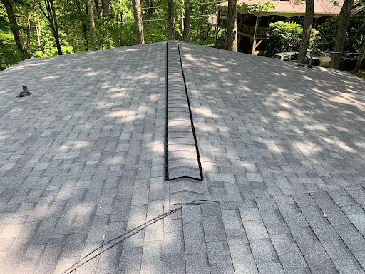 Sons of David Roofing and Restoration