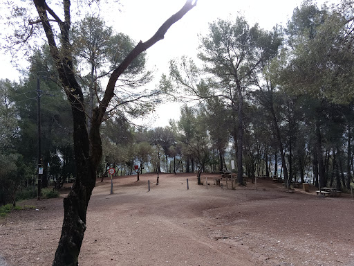 Ajuntament de la Palma de Cervelló - Thumbnail
