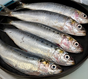 Photo n°23 de La Pile d'Assiettes à Le Tréport (Restaurant)