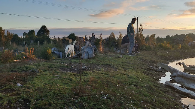 Opiniones de Parque La Pajarera en Puerto Varas - Hotel