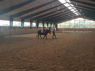 Photos of Center For Ridefysioterapi ApS