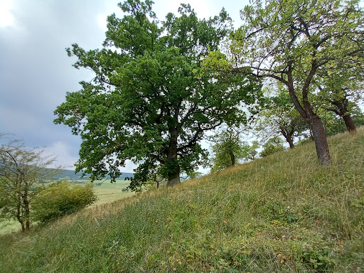 Koppensteine - Visual