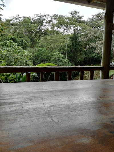 lodging