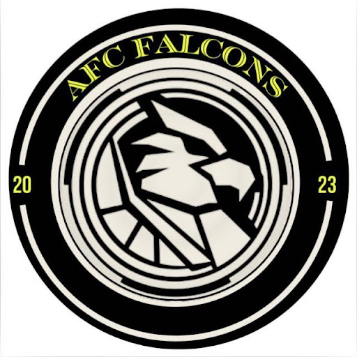 afc falcons - Visual