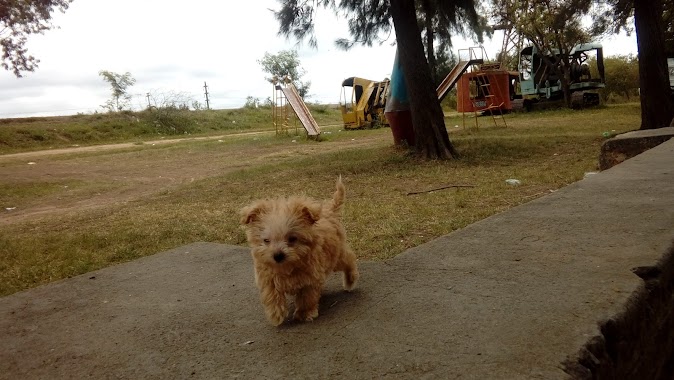 Camping Municipal Barranqueras, Author: gabino german Barrios