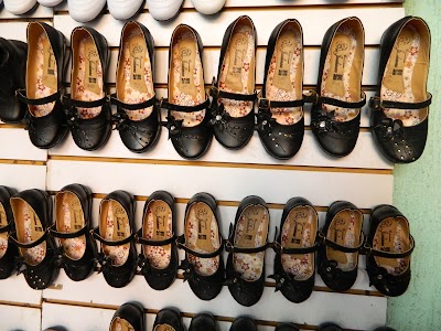 Photos of Lion shoes