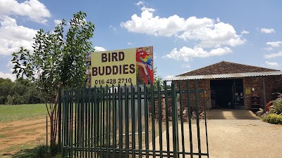 Photos of Bird Buddies