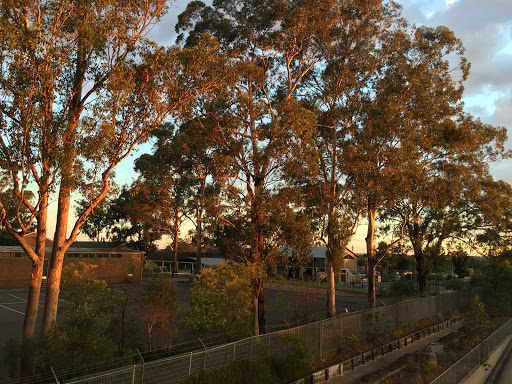 Fairfield West Public School