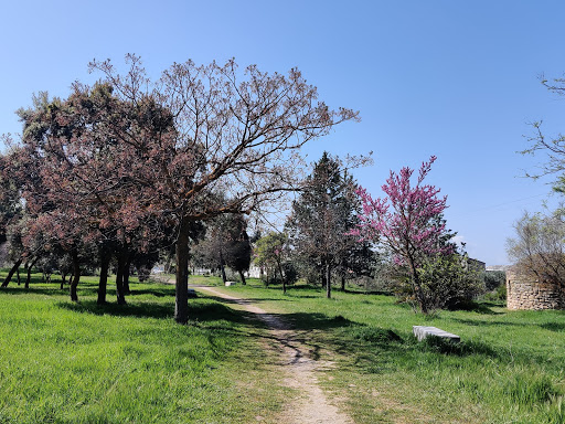 El Paso Park