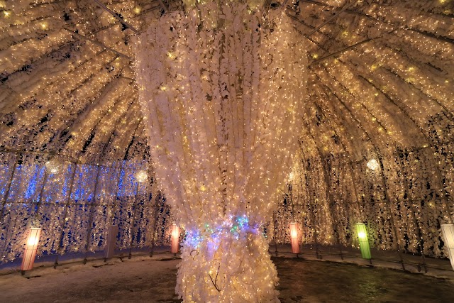 Lake Toya Onsen Illumination Tunnel