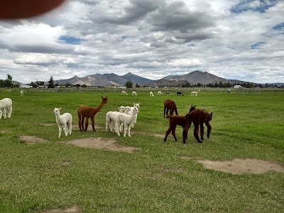 Crescent Moon Ranch