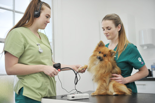 Westwood Veterinary Practice - Thumbnail