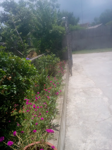 Trường TH Khánh Lộc