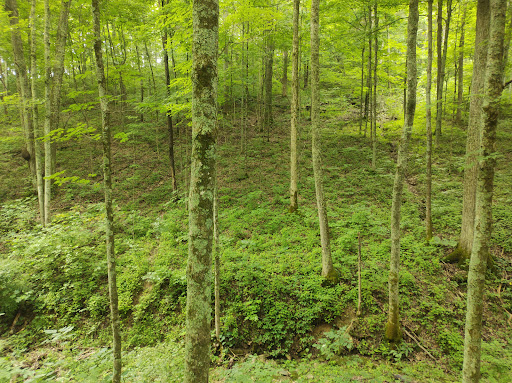 Quiet Trails State Nature Preserve - Thumbnail