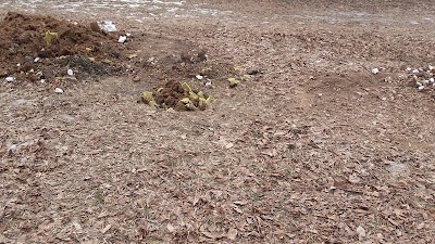 Photos of Highlander Park