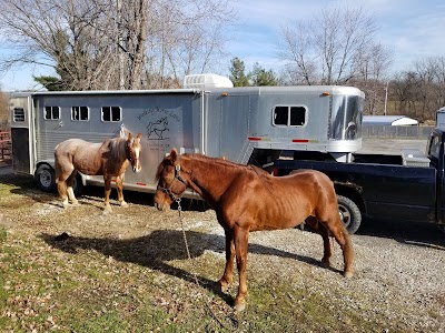 Thomas Veterinary Clinic