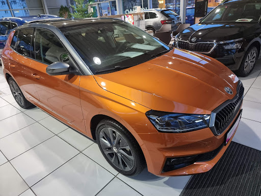 Autohaus Fleischhauer Köln-Mülheim VW / VW Nutzfahrzeuge , ŠKODA, SEAT & CUPRA , CALIFORNIA PROFI PARTNER - Thumbnail