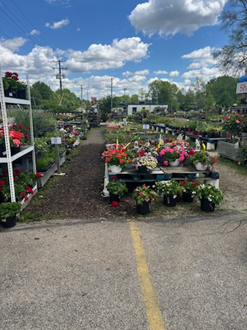 Sherman & Lin's Garden Center - Thumbnail