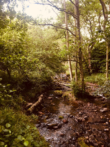 Pease Dean Scottish Wildlife Trust - Thumbnail