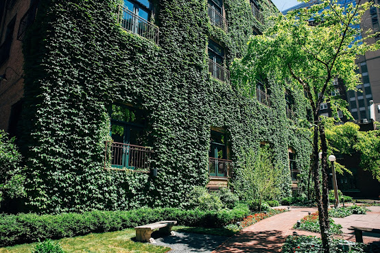 The Ivy Room At Tree Studios by null