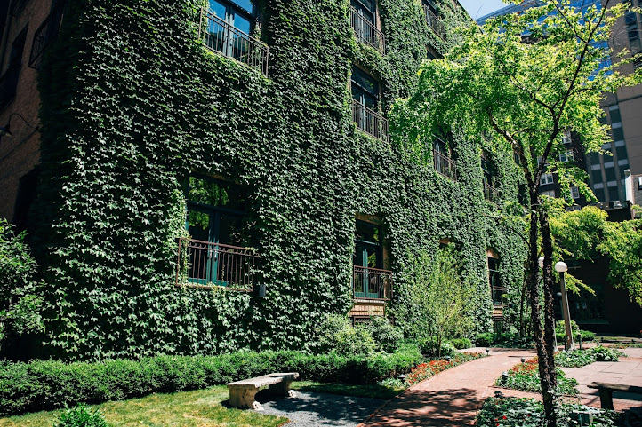 The Ivy Room At Tree Studios by null