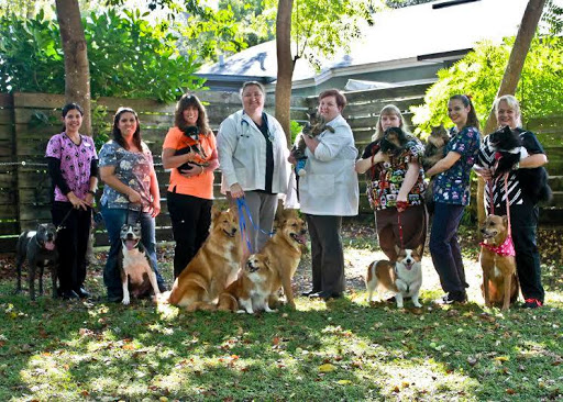 Eustis Veterinary Hospital