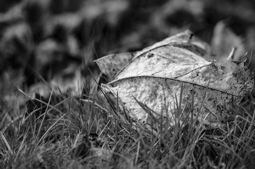 Cheadle Cemetery - Thumbnail