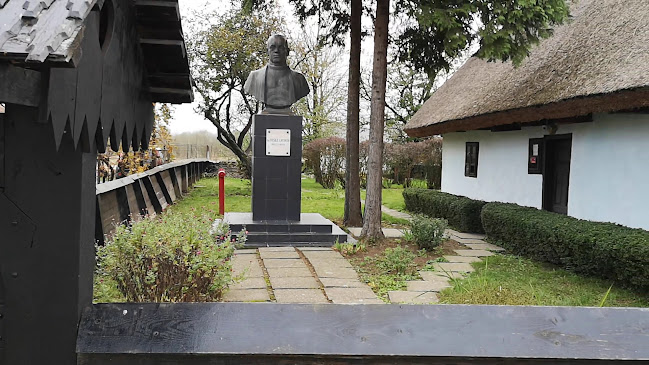 orar Muzeu memorial Dr. Vasile Lucaciu