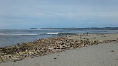 Photos of The Port Molyneux School